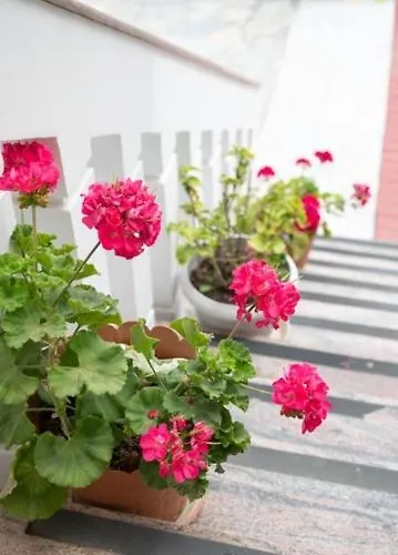 Prigkipessa Apart Otel